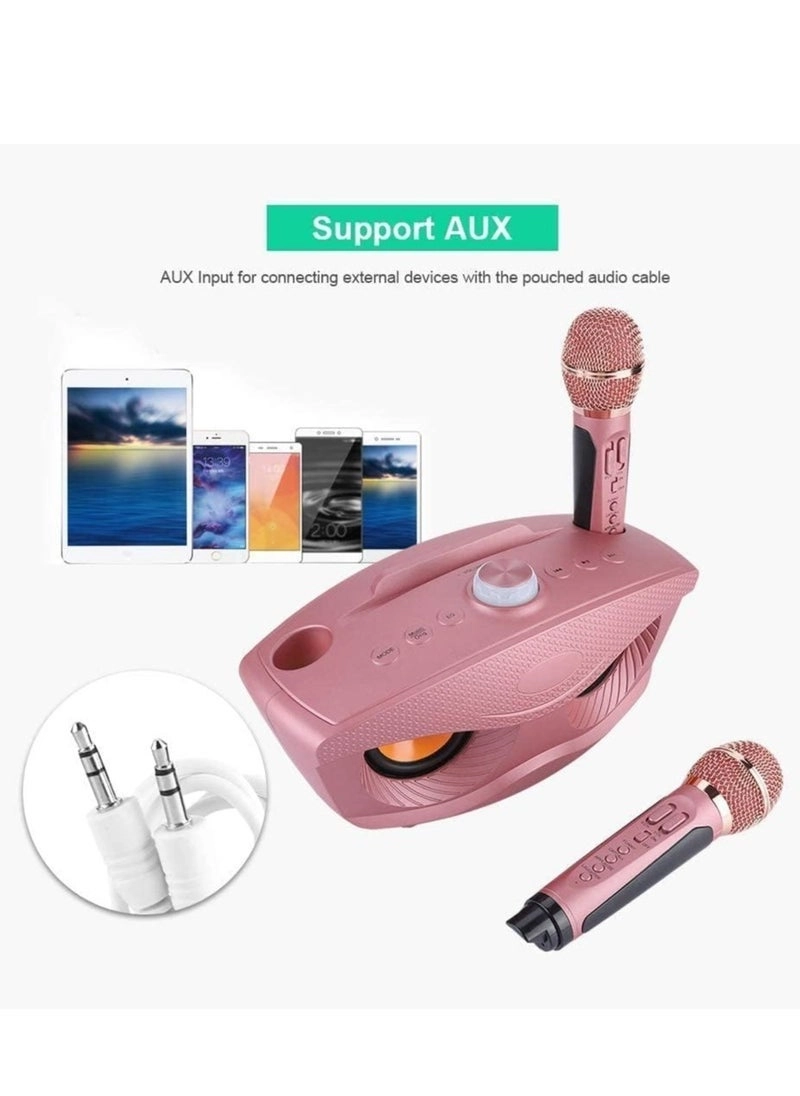 SD-508 - Dual Wireless Microphones