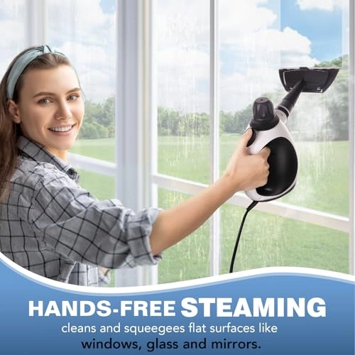 Handheld Steam Cleaner - 350 Milliliters