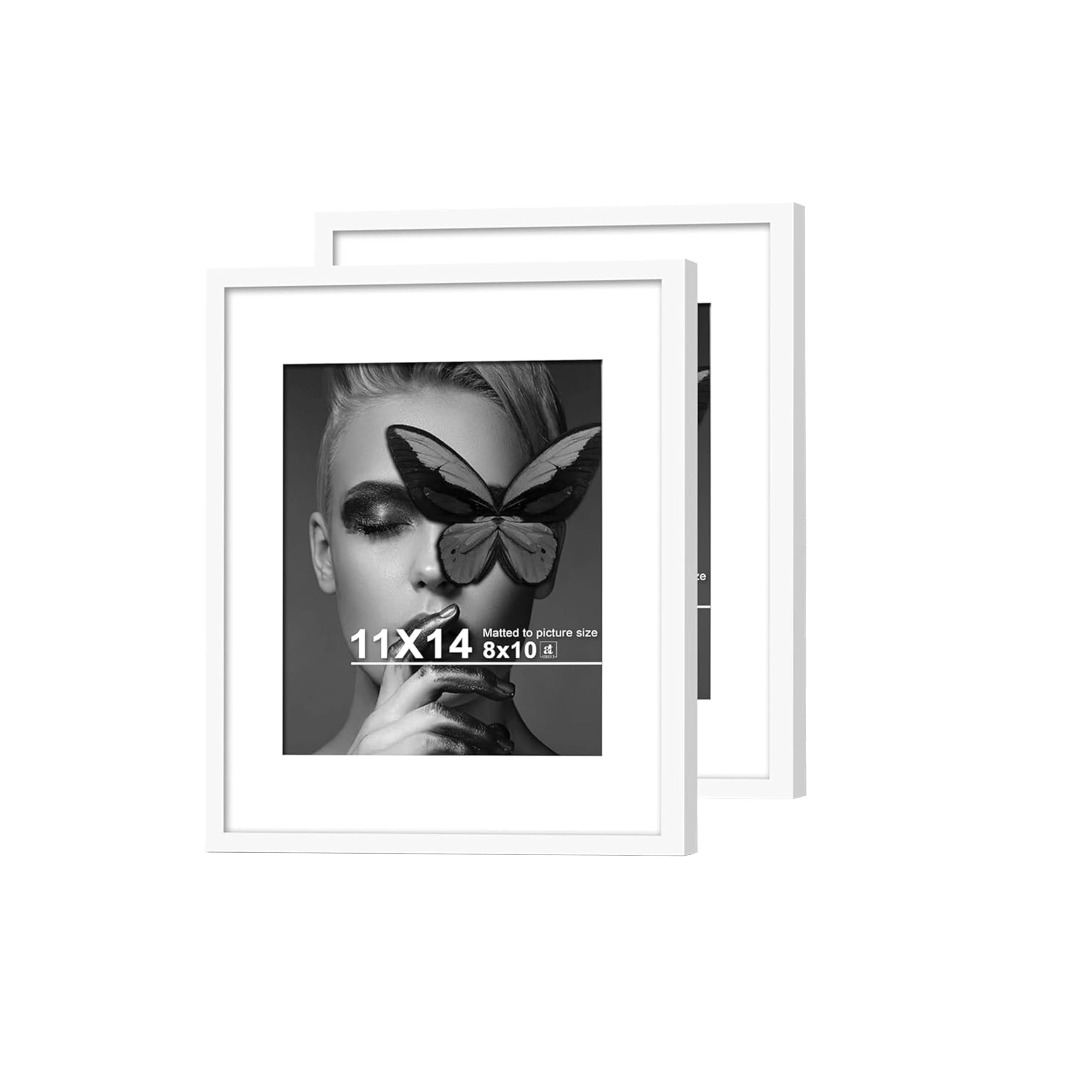 Document Frame - 11x14 Inch