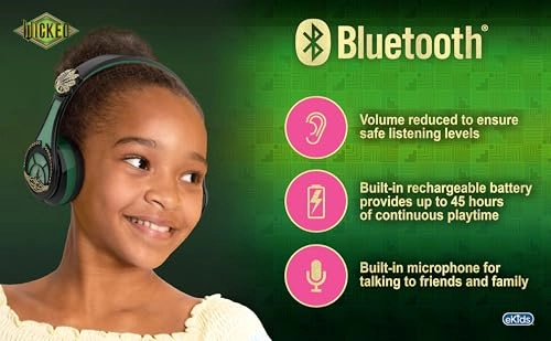 WW-B52 Wireless Headphone