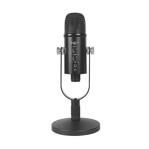BM-818 USB Microphone