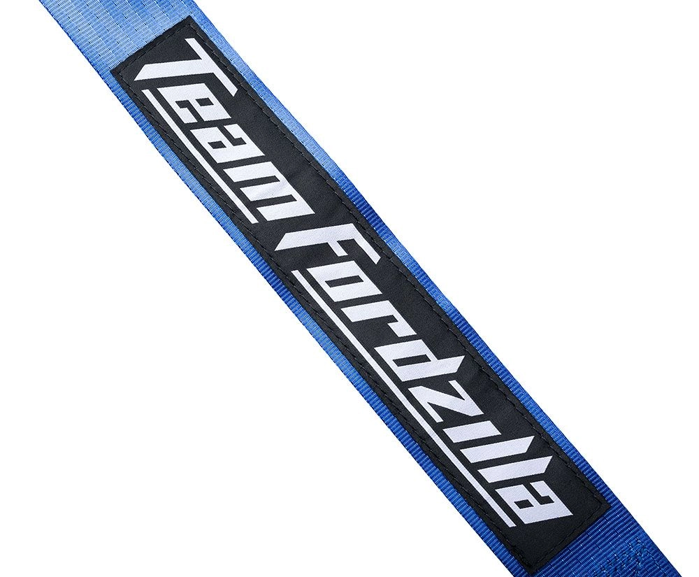 Elite ES1 - Ford GT Edition