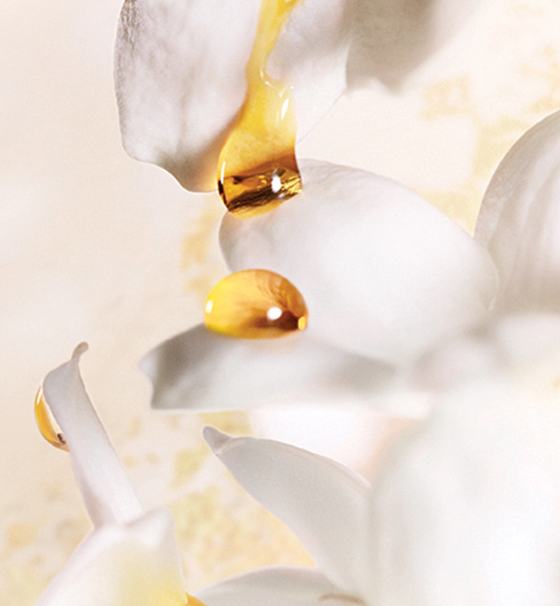 J'adore Eau de Parfum 150 ml