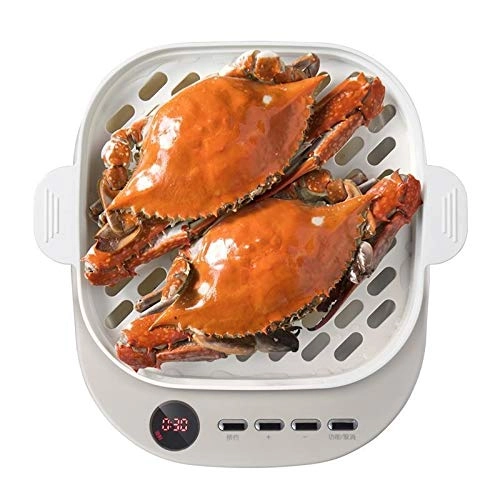 Electric Steamer - 6L