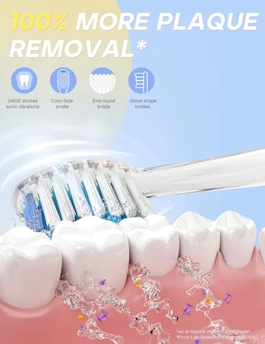 SG977 - Kids 2 Mins Timer 4 Brush Heads