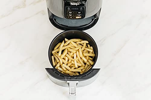 Air Fryer AF100