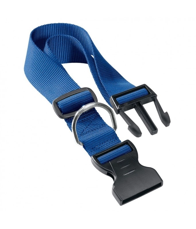Club C - Nylon For Dogs