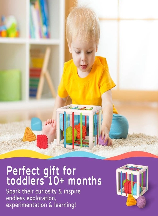 Shape Sorter - 1+ Years Old