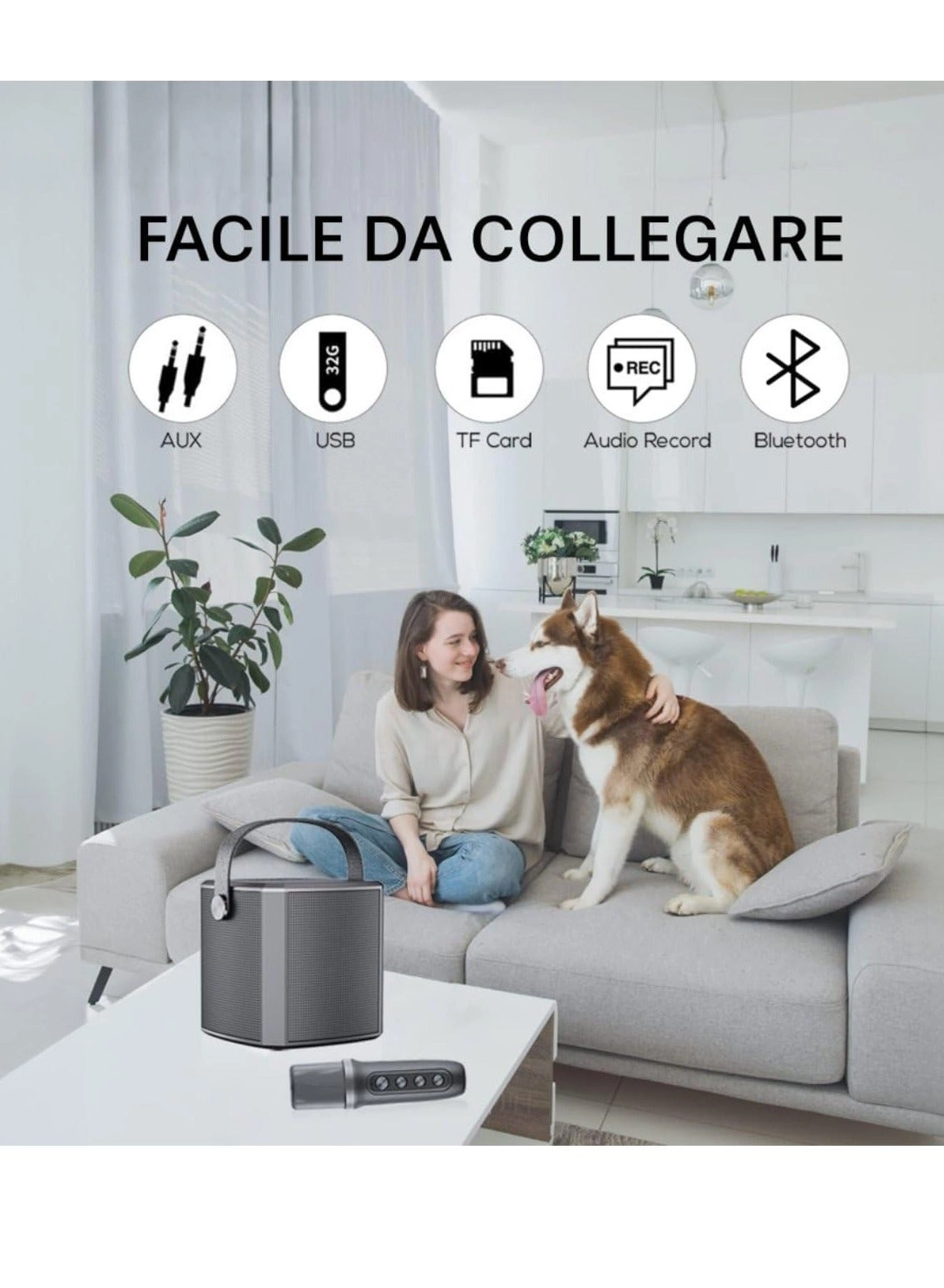 Portable Bluetooth Karaoke Speaker - Rechargeable wireless microphone Type-C charging TF Card support