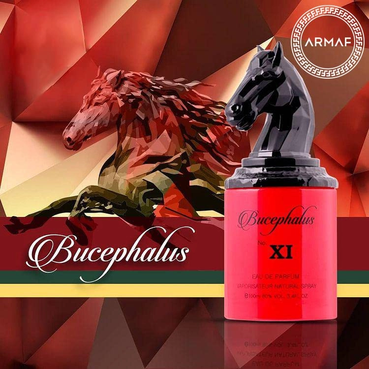 Bucephalus XI Eau de Parfum - 100ml