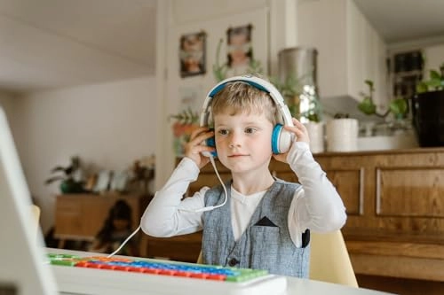 Hearsafe Wired Headphone