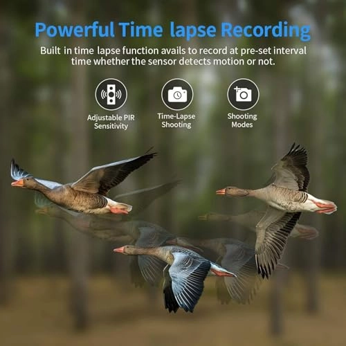 Yoidesuigp4hkd5o0 - 50MP