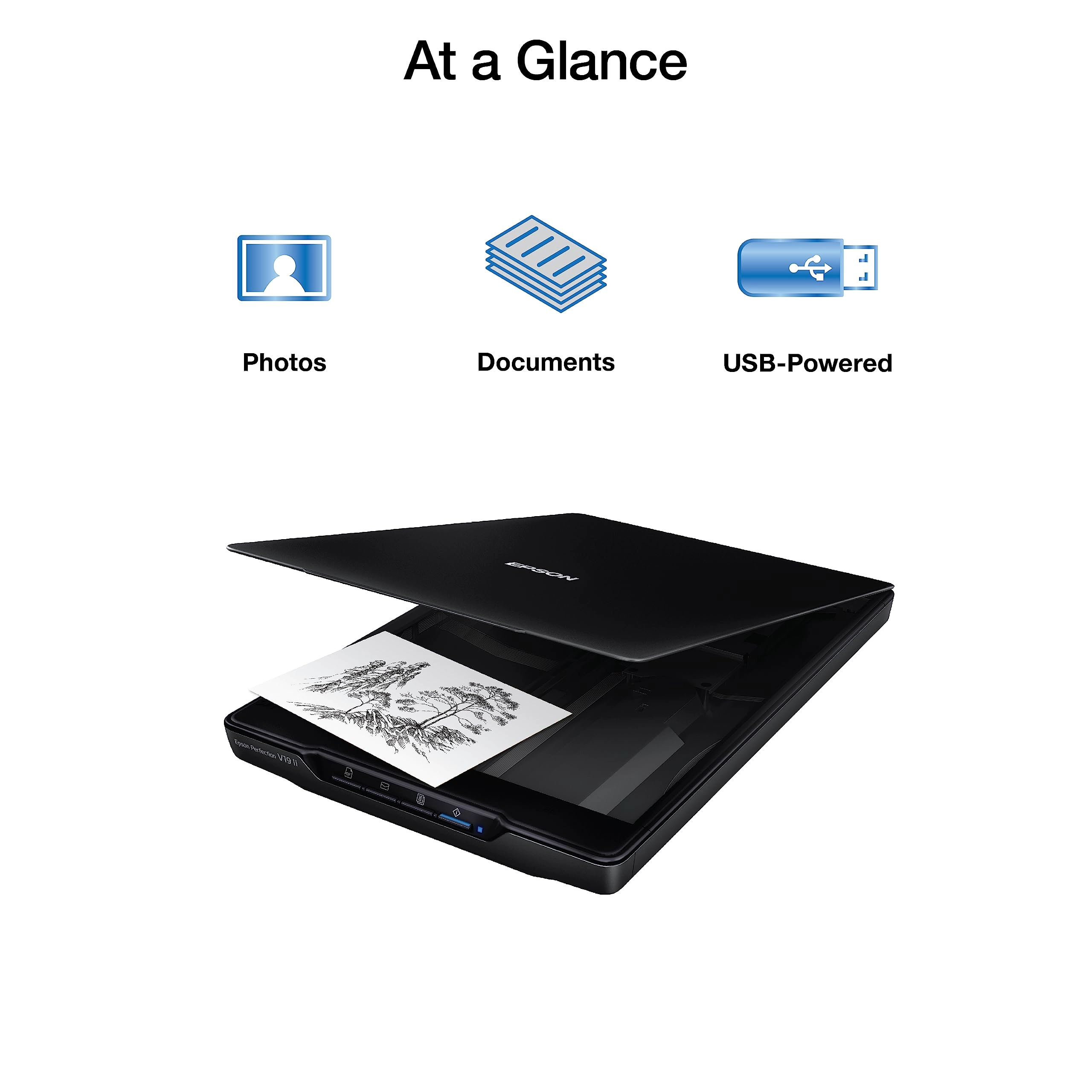Perfection V19 - USB