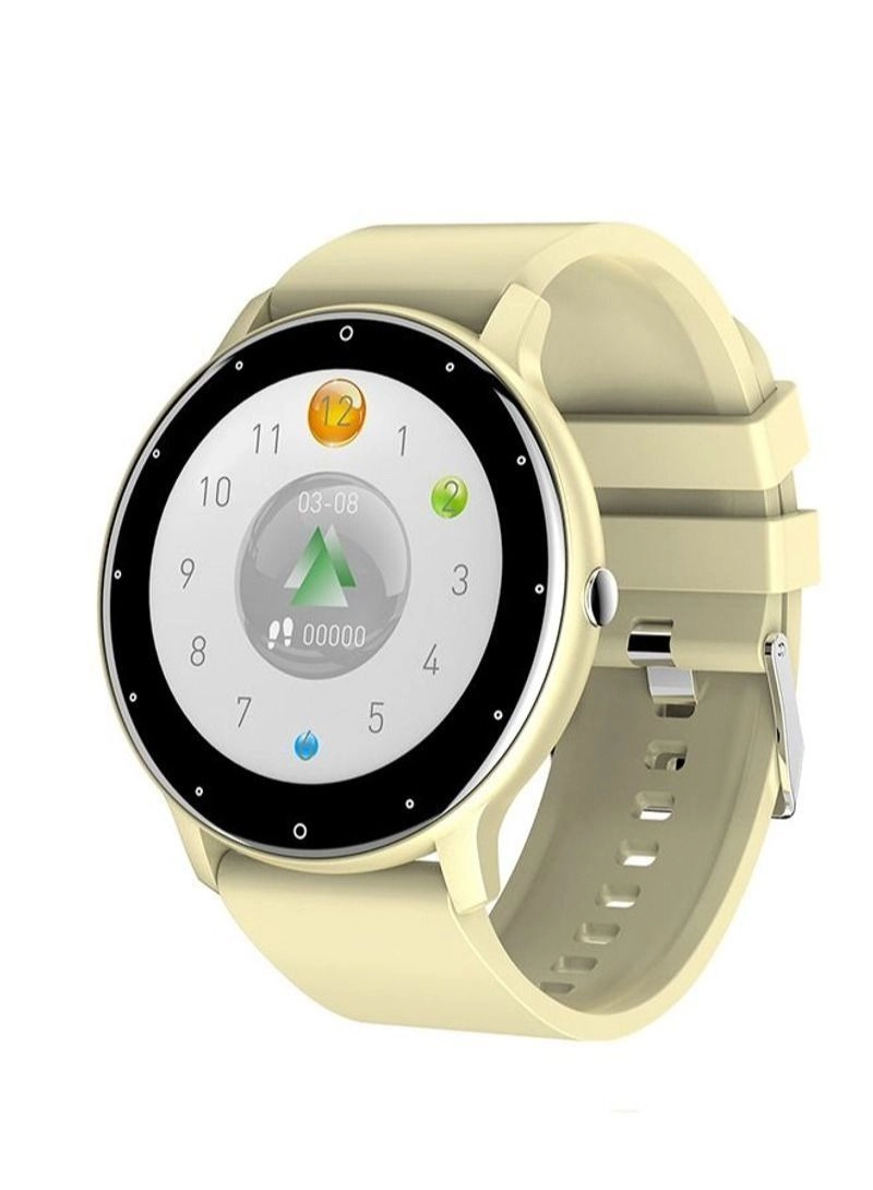 NIBEMINENT HLL209 45.5mm