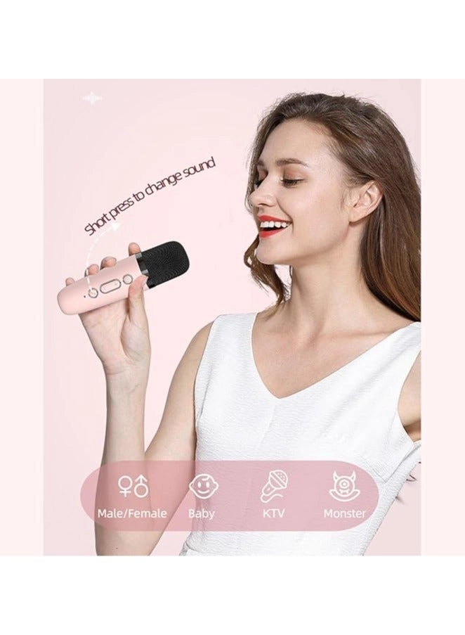 Karaoke Speaker Set - 2 wireless microphones