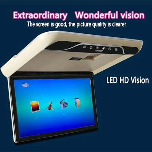 Car ceiling display - 19-Inch