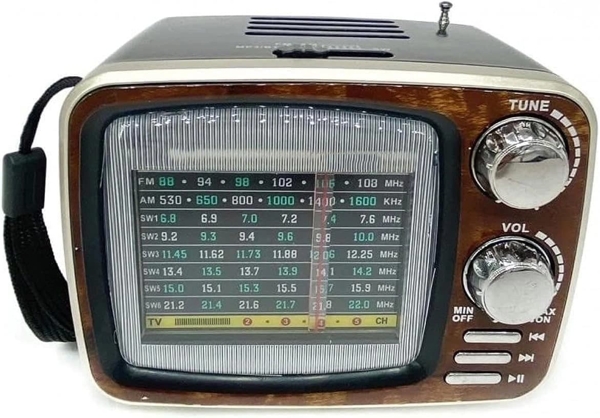 Fayrooz Portable Bluetooth Radio