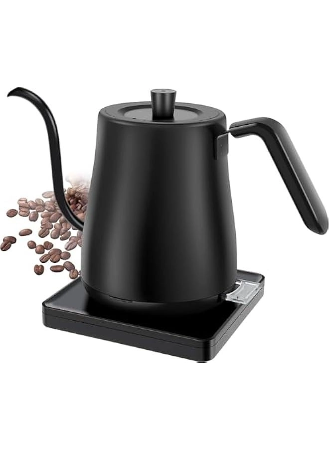 Beauenty Gooseneck Electric Kettle