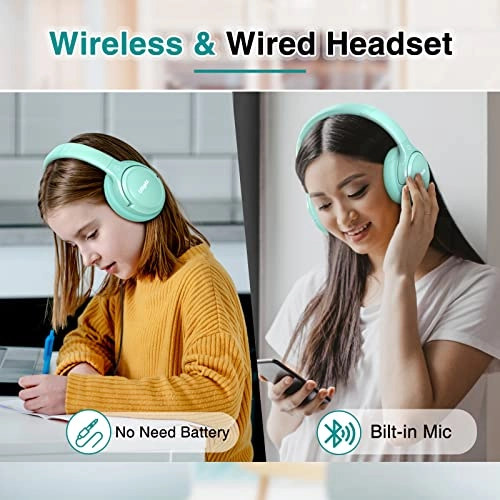 WH202A Wireless Headphone