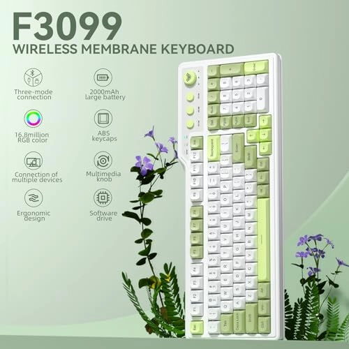 F3099 - Wired/Wireless
