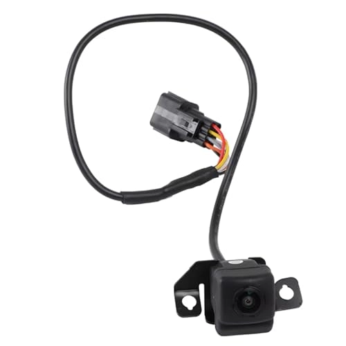 95760B3000 - video cable