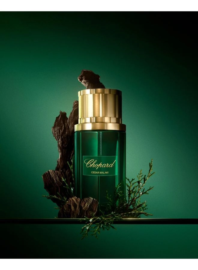 Cedar Malaki Eau de Parfum 80ml