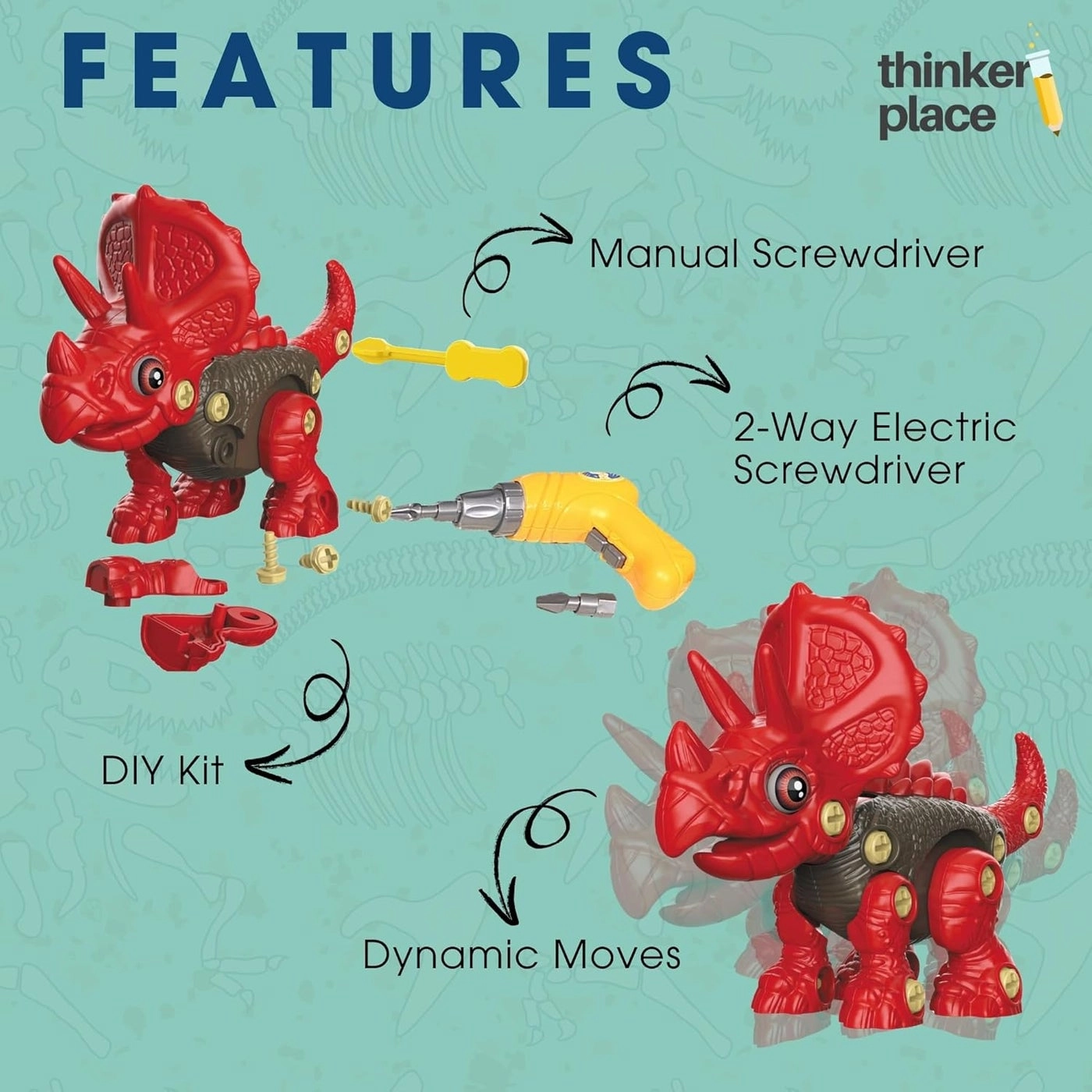 Triceratops - 4+ Years