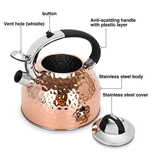 Kettle - Stainless Steel Auburn