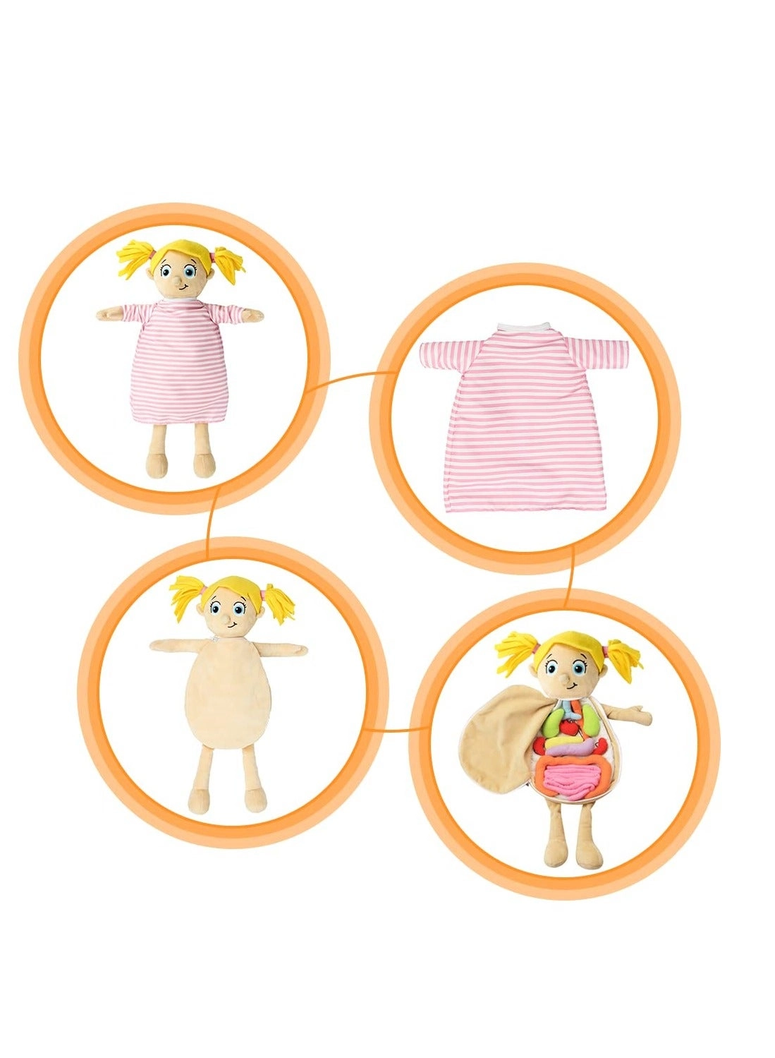 Human Body Anatomy Toy - 1 piece(s)