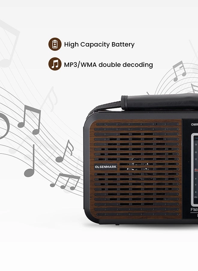 FM/AM/SW Radio & Music Player - Portable