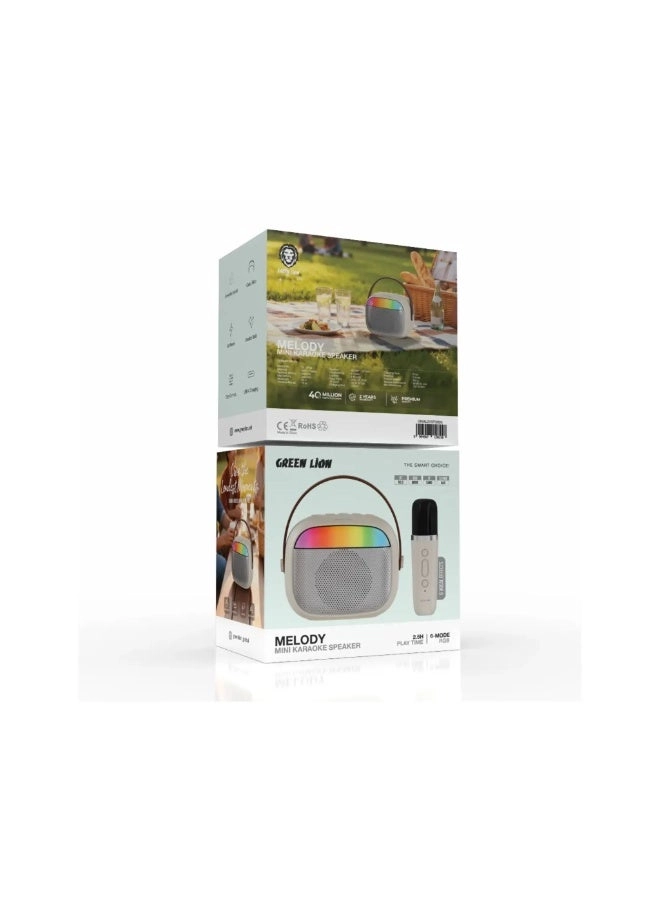 2 in 1 Karaoke Speaker - 2 5 Watt