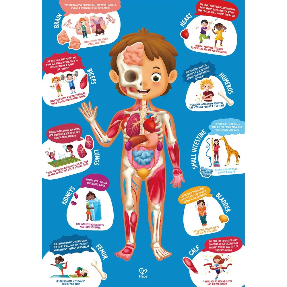 Doctor On Call + Human Body Puzzle - Suitable for 3 years & above 10 pcs