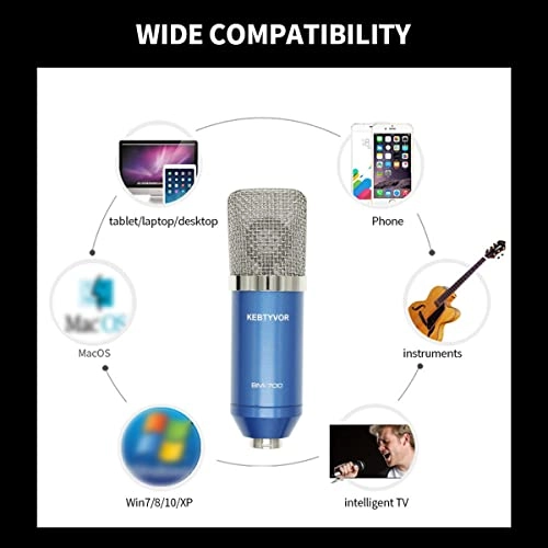 BM700 3.5mm-Mini-Jack+XLR Microphone