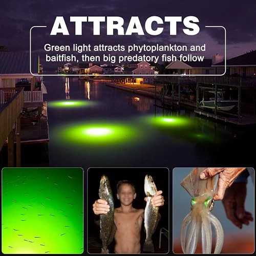 Underwater Fishing Light - 16.5ft