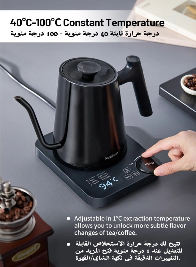 Temperature Control Gooseneck Electric Kettle