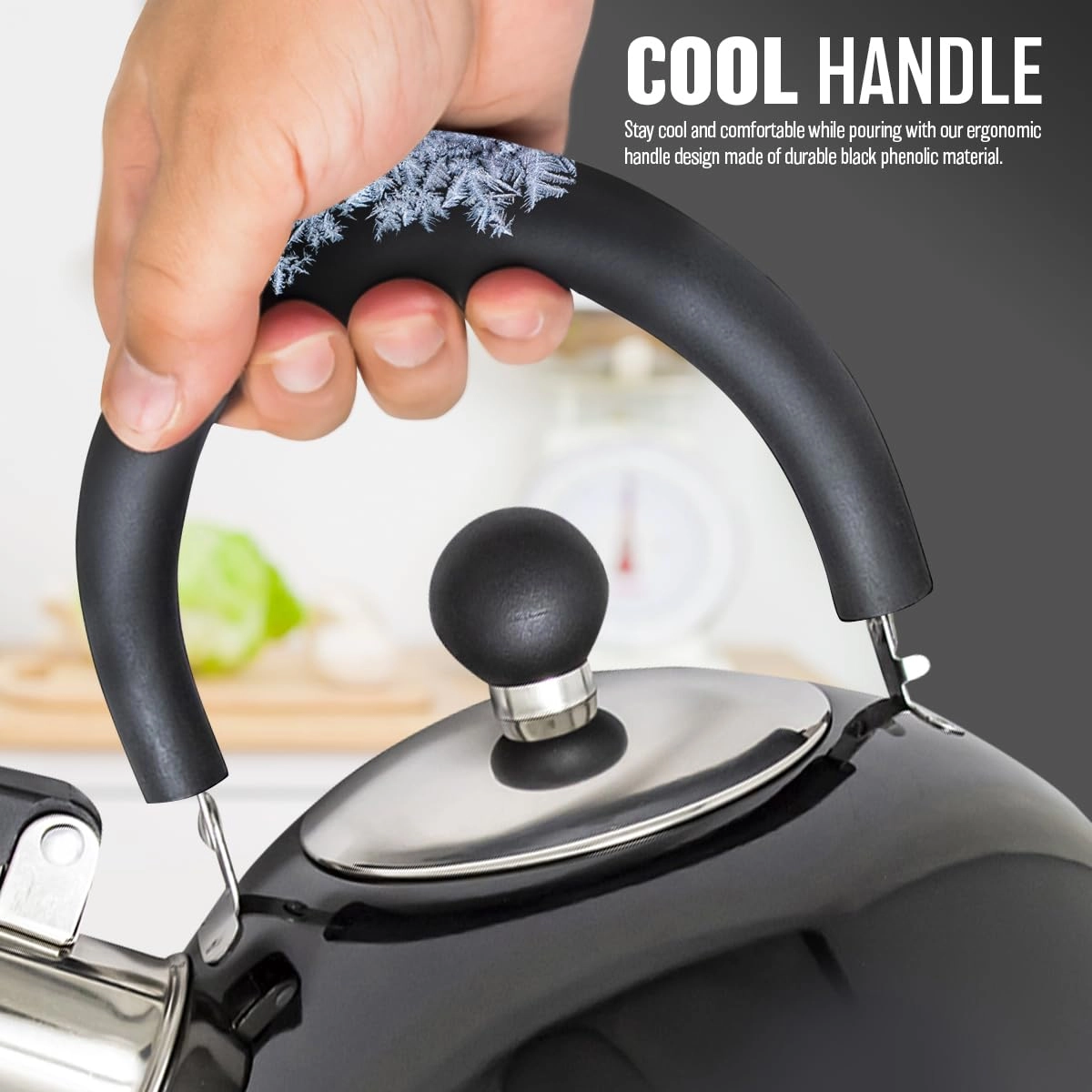 Whistling Kettle - 2.5L