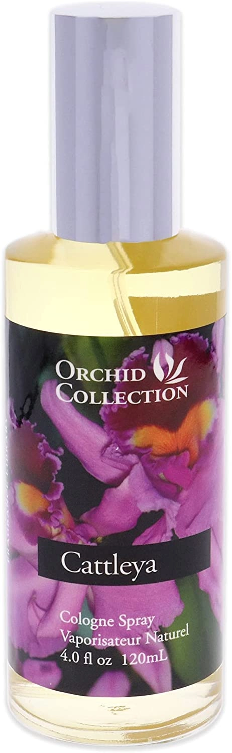 Cattleya Orchid - 120 ml