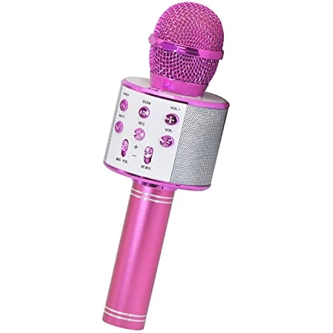 rayihni Karaoke Microphone Pack