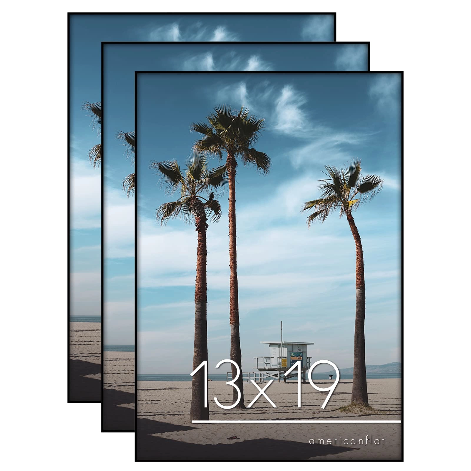Front Loading Picture Frame - 13x19