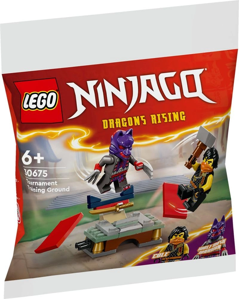 LEGO NINJAGO Tournament Training Ground & Kai and Rapton's Temple Battle (30675) - TV Show