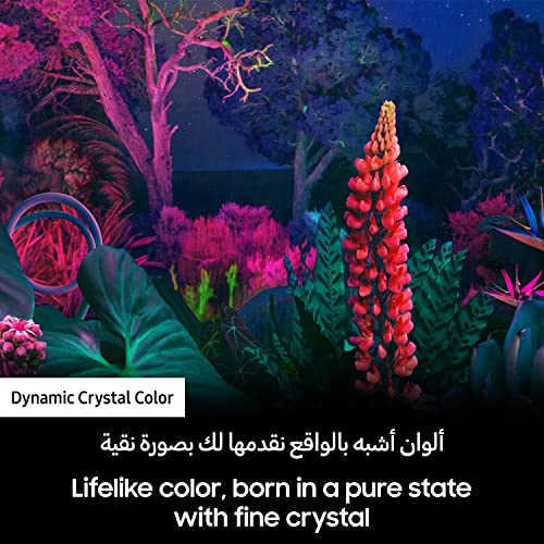 UA75BU8000UXZN - 75 inch