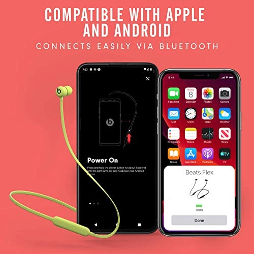 Flex Wireless Earphones