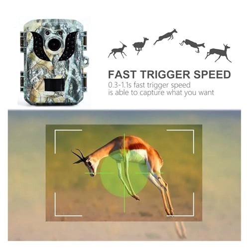 Wildlife HD Hunting Rear Camera - 16MP