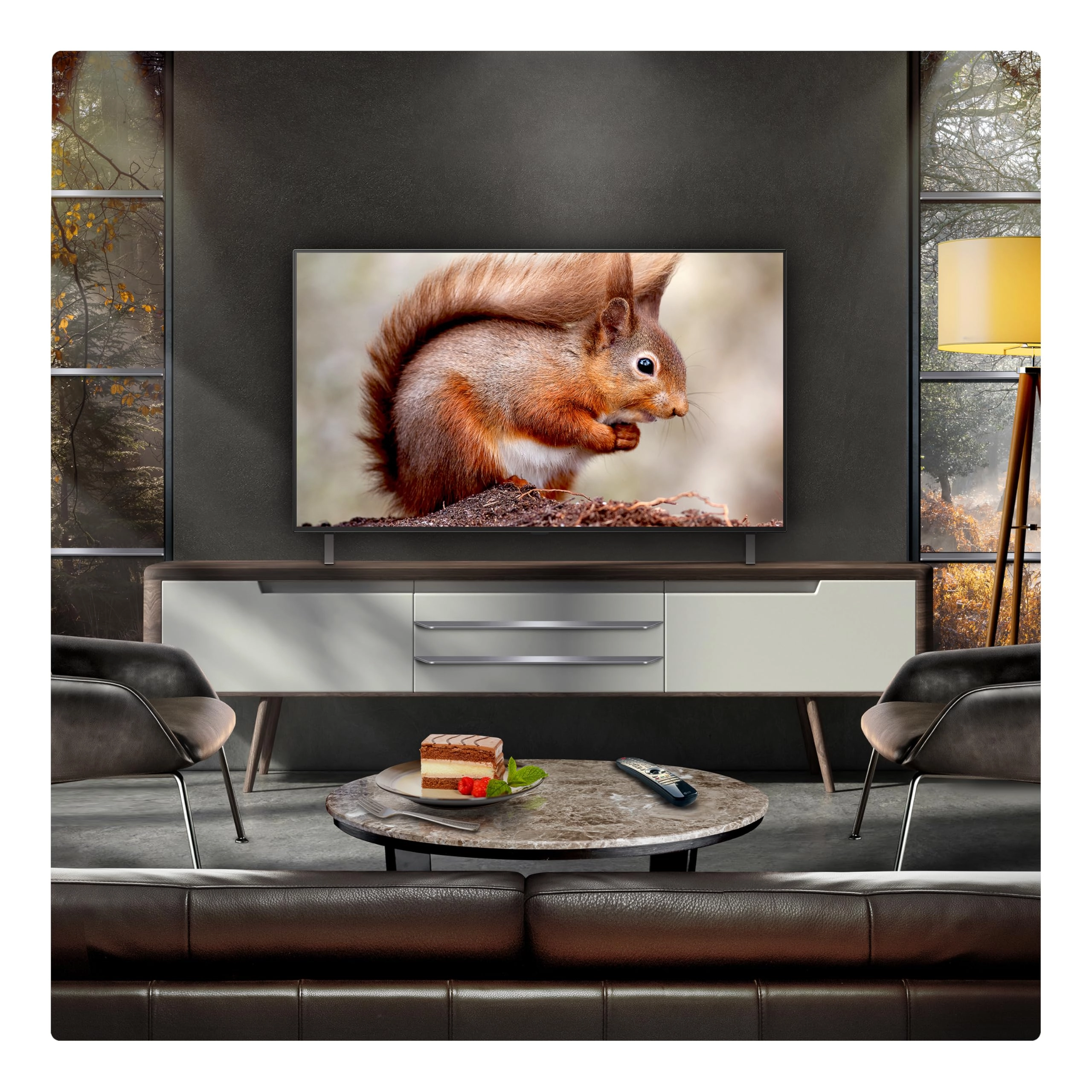 OLED48B56LA - 48-Inch