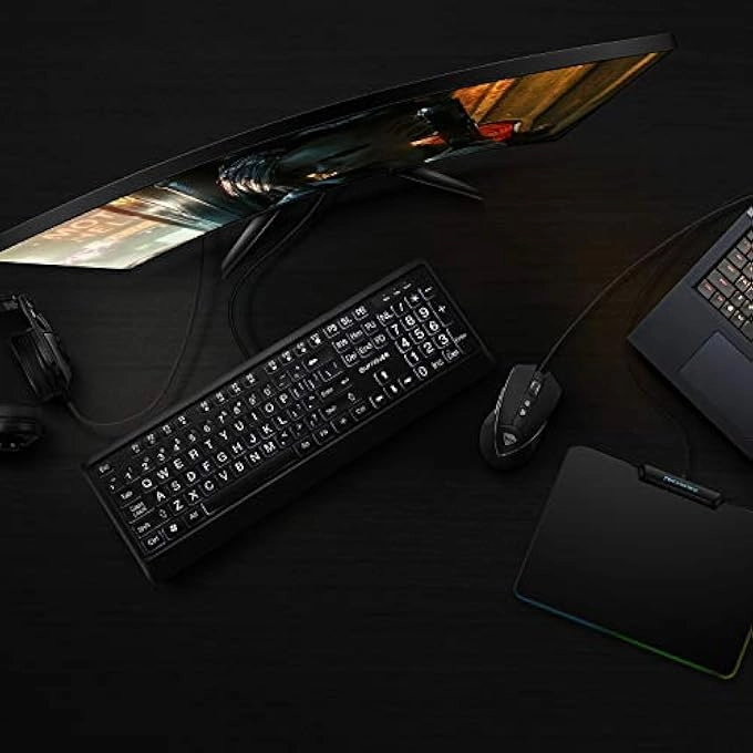 LARGE PRINT BACKLIT KEYBOARD