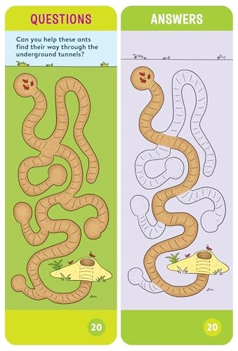 Brain Quest Smart Cards - 4 - 5 years 100 pieces