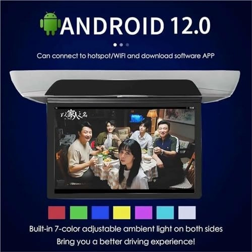 Roof Ceiling Monitor - 1920*1080 13.3 Inch/15.6 Inch