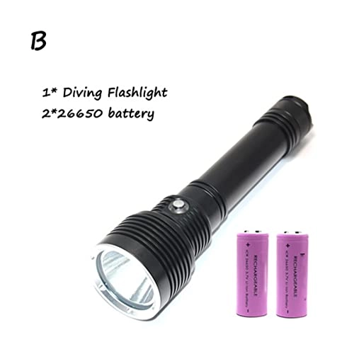 Professional Submersible Light
