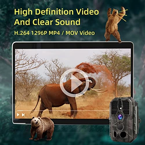 Trail Camera - 24 megapixel