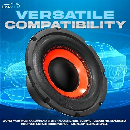 10 Inch Subwoofer - 250w RMS